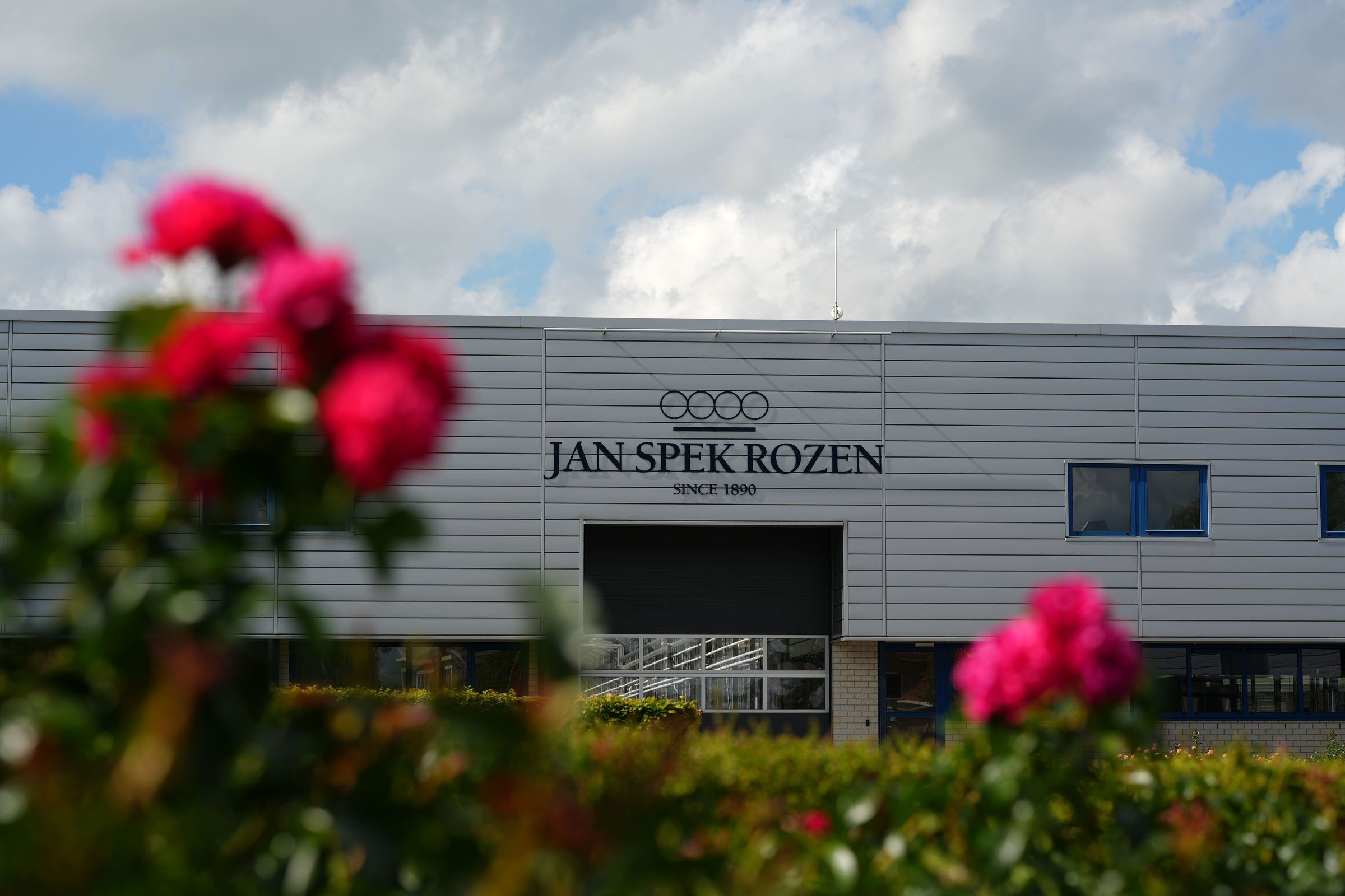 Jan Spek Rozen, breeders representation and partnerships