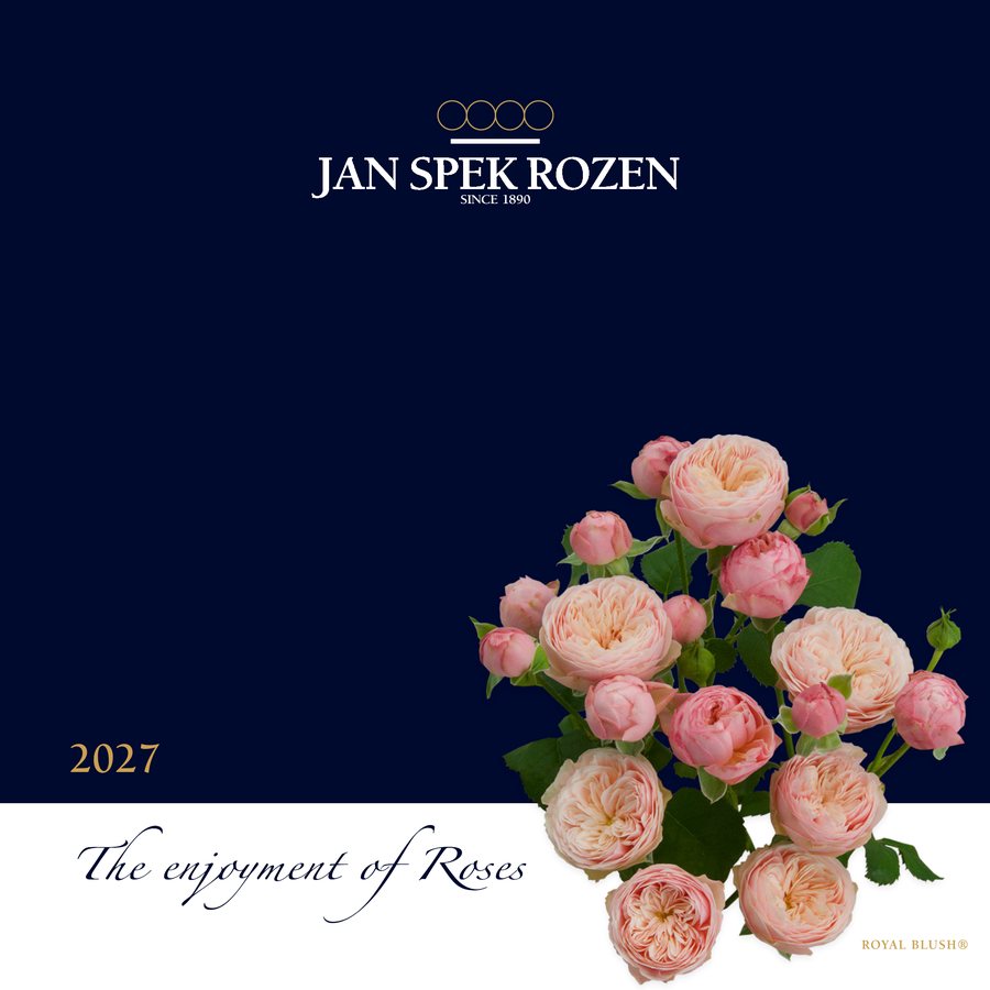 Cut Roses Catalogue 2027