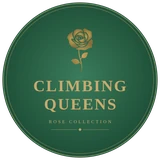 Climbing Queens