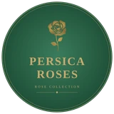 Persica Roses