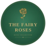The Fairy Roses