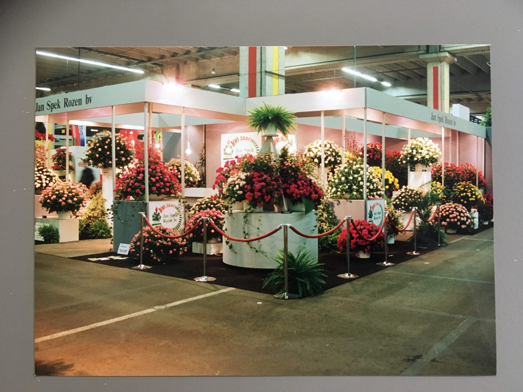 Jan Spek Rozen greenhouse interior